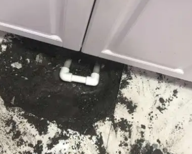 五营查漏水哪家好